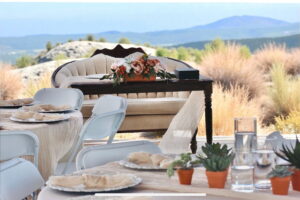 arranged elegance sweetheart table couch succulents 1 300x200