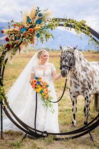 wild poppy events julien kibler photography horse 200x300